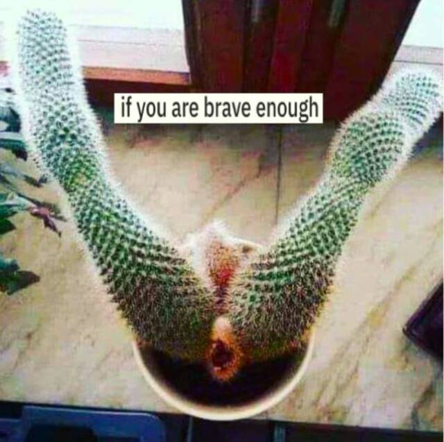 Bildschirmarbeiter - Picdump KW 16/2022