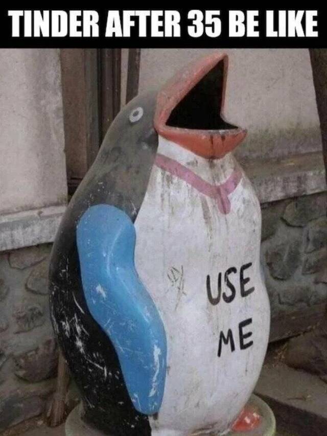 Bildschirmarbeiter - Picdump KW 16/2022