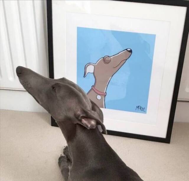 Bildschirmarbeiter - Picdump KW 16/2022