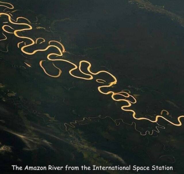 Bildschirmarbeiter - Picdump KW 16/2022