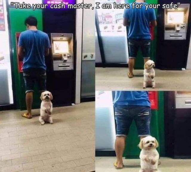 Bildschirmarbeiter - Picdump KW 16/2022