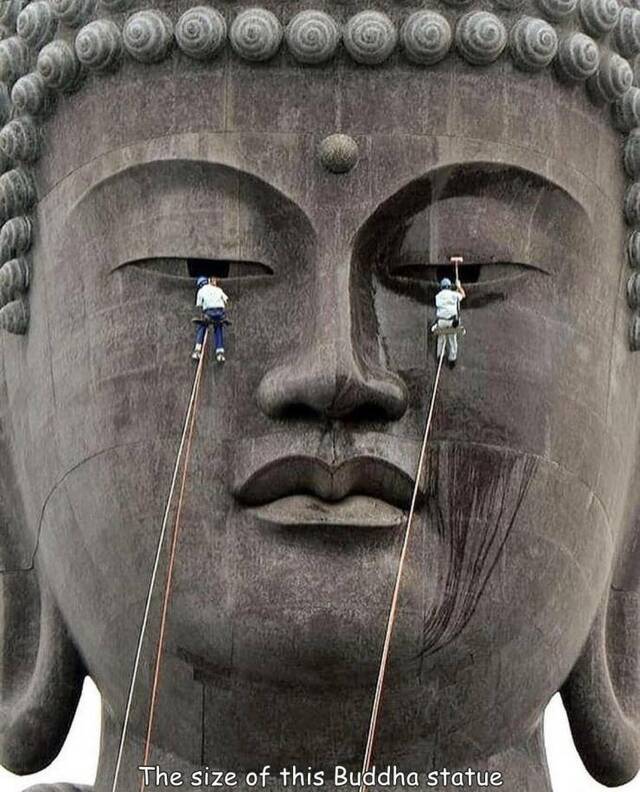 Bildschirmarbeiter - Picdump KW 16/2022