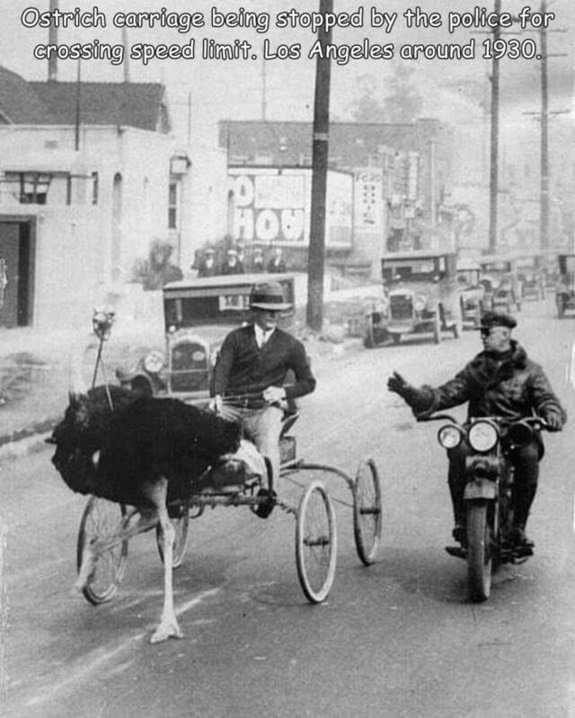 Bildschirmarbeiter - Picdump KW 16/2022