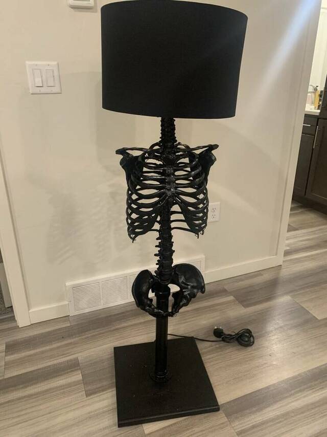 Bildschirmarbeiter - Picdump KW 16/2022