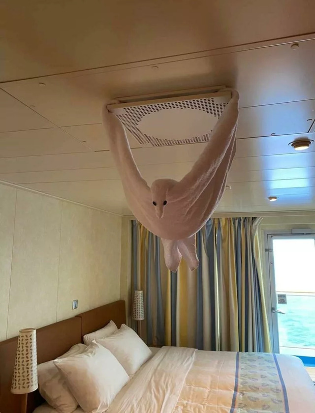 Bildschirmarbeiter - Picdump KW 16/2022