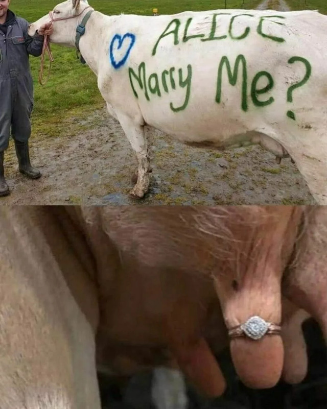 Bildschirmarbeiter - Picdump KW 16/2022