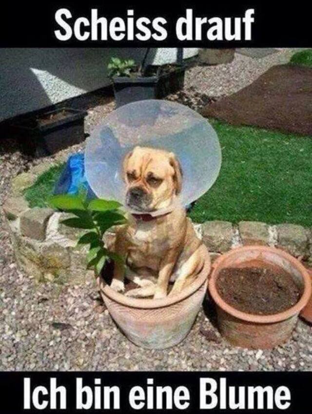 Bildschirmarbeiter - Picdump KW 17/2022