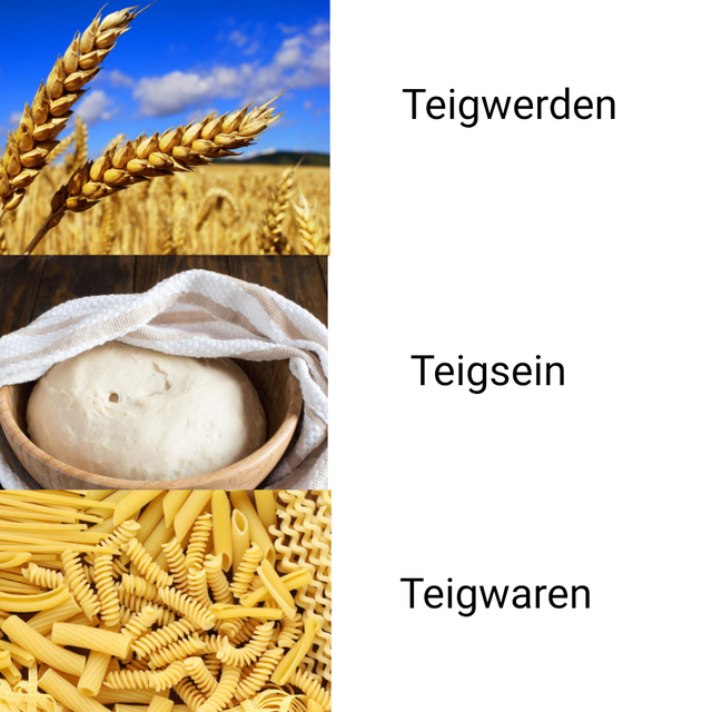 Bildschirmarbeiter - Picdump KW 17/2022