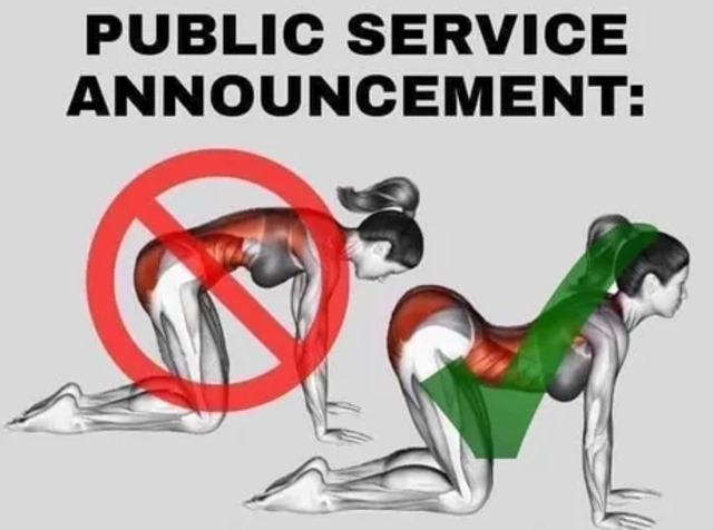 Bildschirmarbeiter - Picdump KW 17/2022