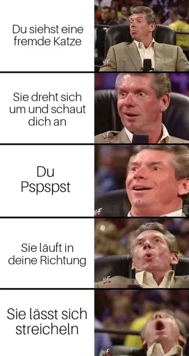 Bildschirmarbeiter - Picdump KW 17/2022