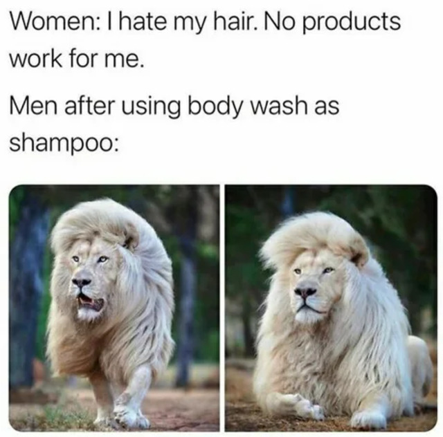 Bildschirmarbeiter - Picdump KW 17/2022