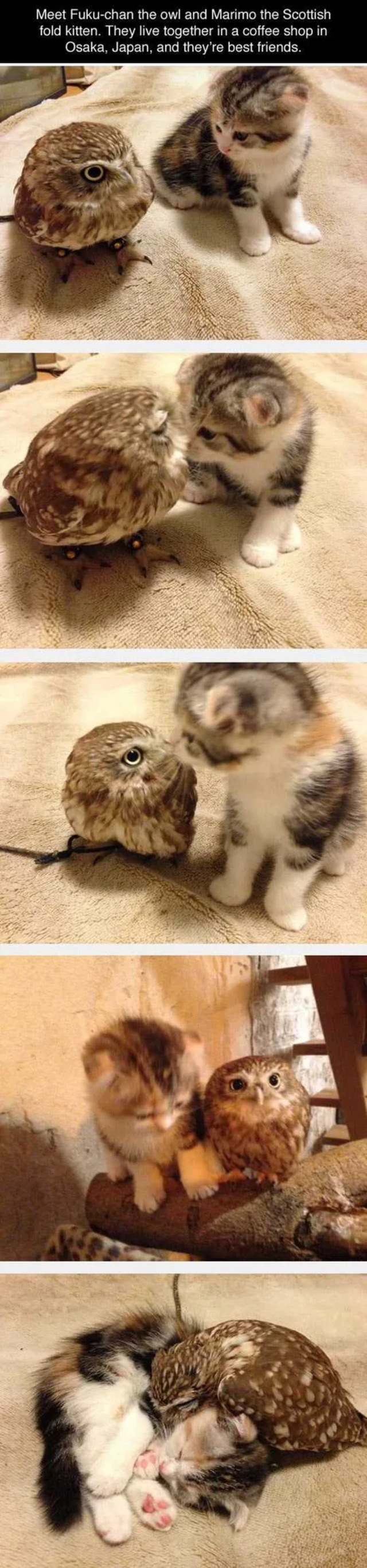 Bildschirmarbeiter - Picdump KW 17/2022