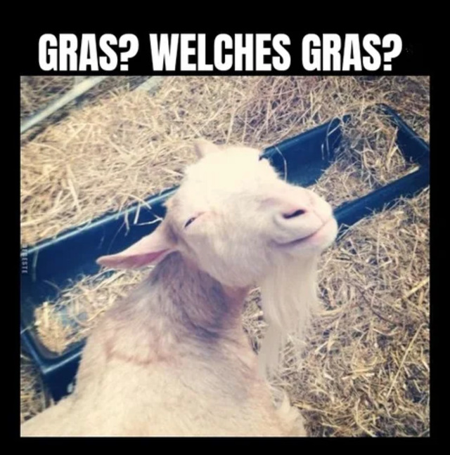 Bildschirmarbeiter - Picdump KW 17/2022