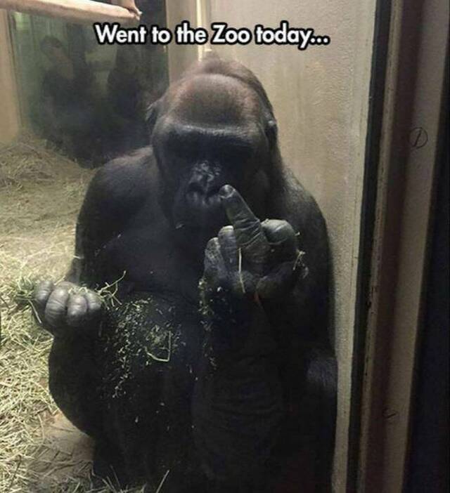 Bildschirmarbeiter - Picdump KW 17/2022