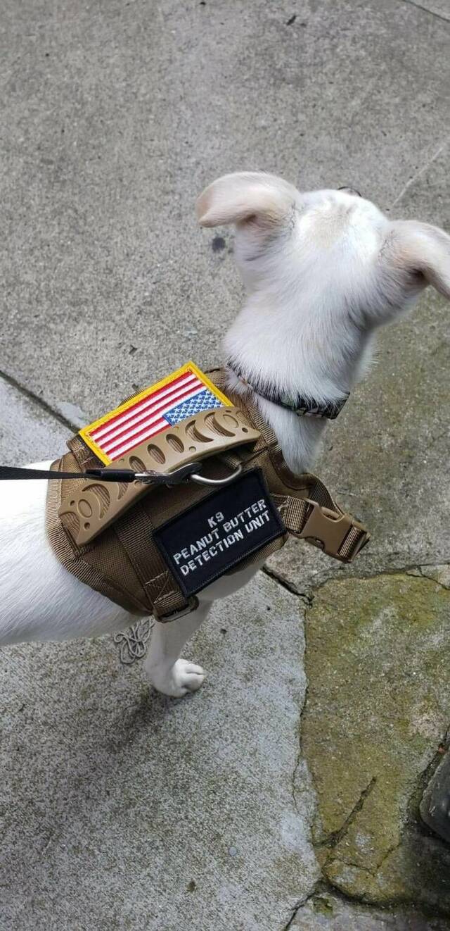 Bildschirmarbeiter - Picdump KW 17/2022