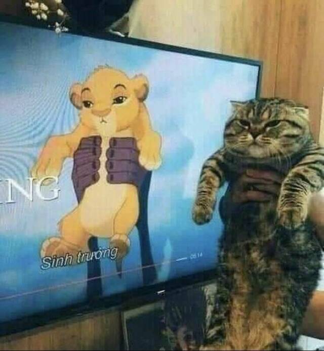 Bildschirmarbeiter - Picdump KW 17/2022