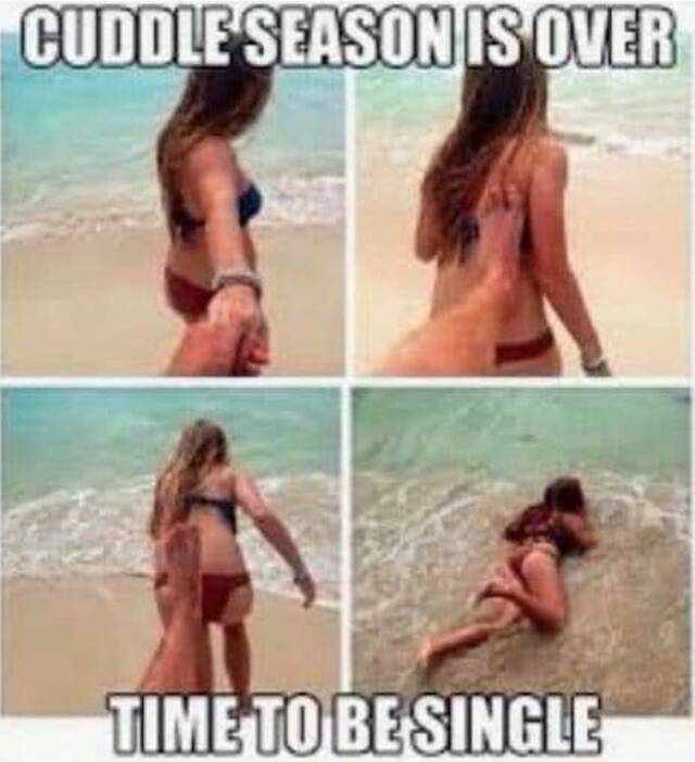 Bildschirmarbeiter - Picdump KW 17/2022