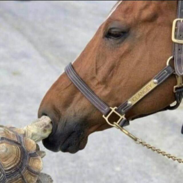 Bildschirmarbeiter - Picdump KW 17/2022