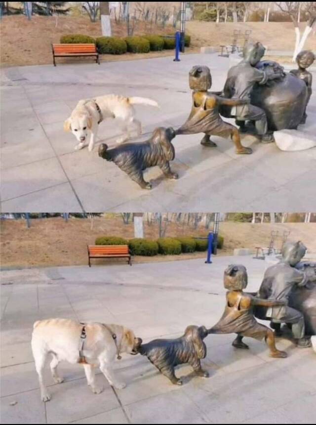 Bildschirmarbeiter - Picdump KW 17/2022