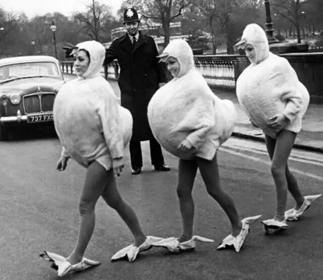 Bildschirmarbeiter - Picdump KW 17/2022