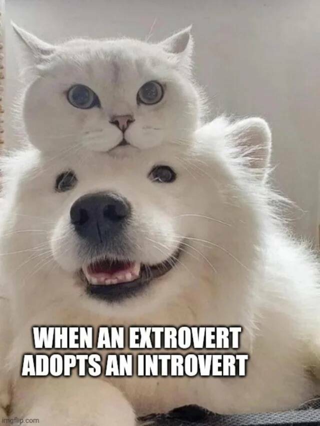 Nachschlag - Bildschirmarbeiter - Picdump KW 17/2022