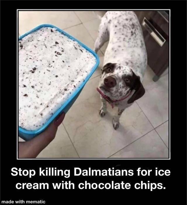 Nachschlag - Bildschirmarbeiter - Picdump KW 17/2022