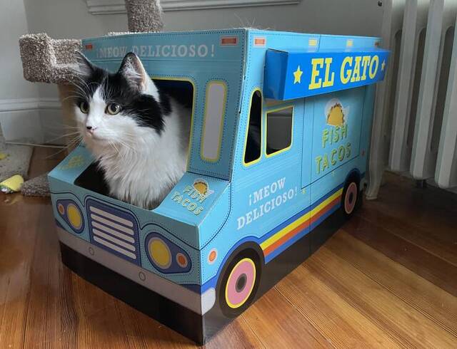 Nachschlag - Bildschirmarbeiter - Picdump KW 17/2022