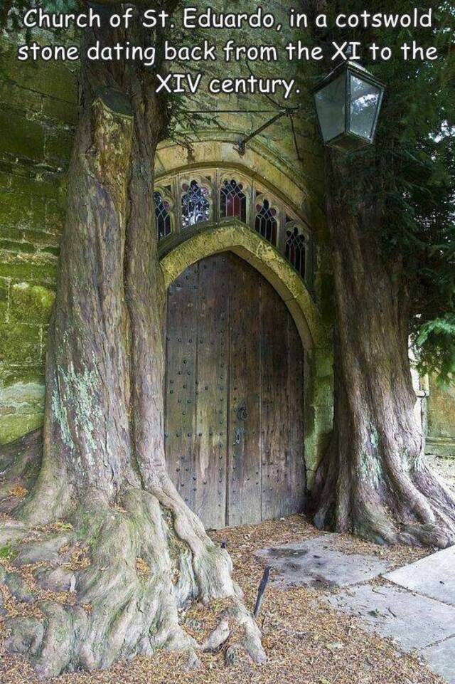 Nachschlag - Bildschirmarbeiter - Picdump KW 17/2022