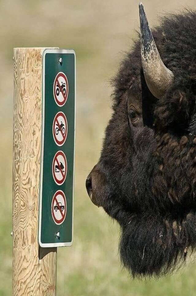 Nachschlag - Bildschirmarbeiter - Picdump KW 17/2022