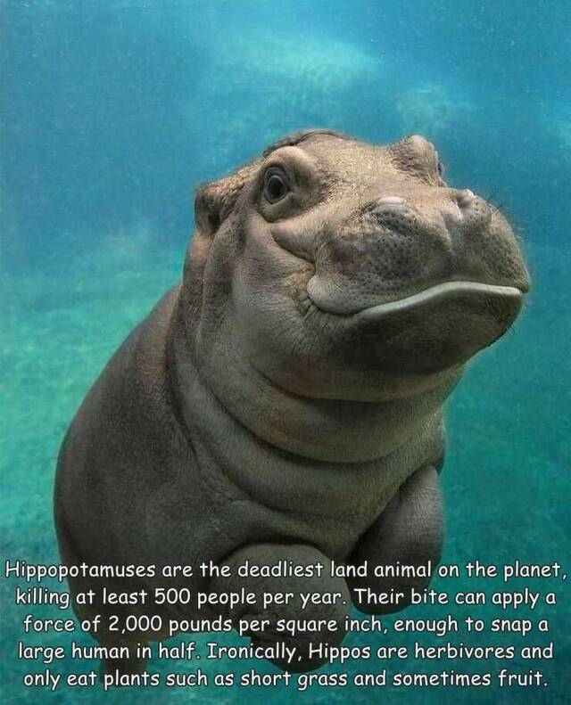 Nachschlag - Bildschirmarbeiter - Picdump KW 17/2022