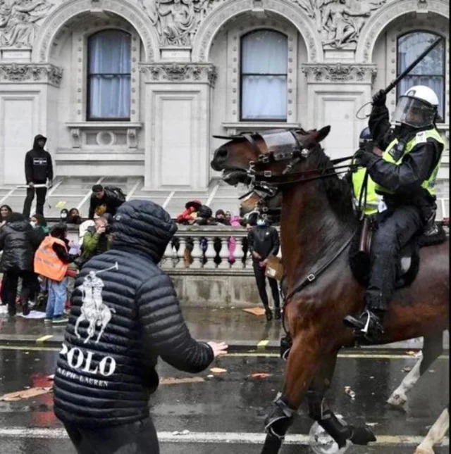 Nachschlag - Bildschirmarbeiter - Picdump KW 17/2022