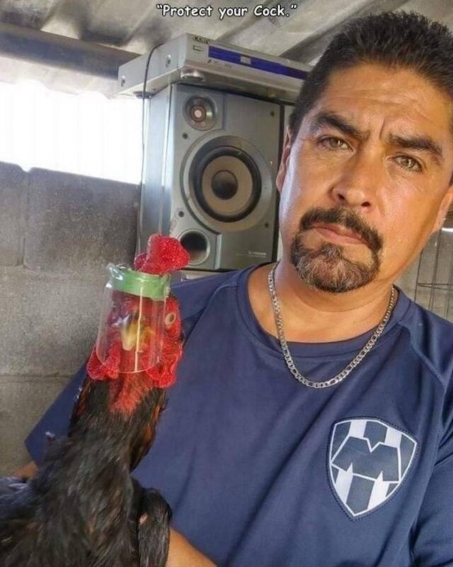 Nachschlag - Bildschirmarbeiter - Picdump KW 17/2022