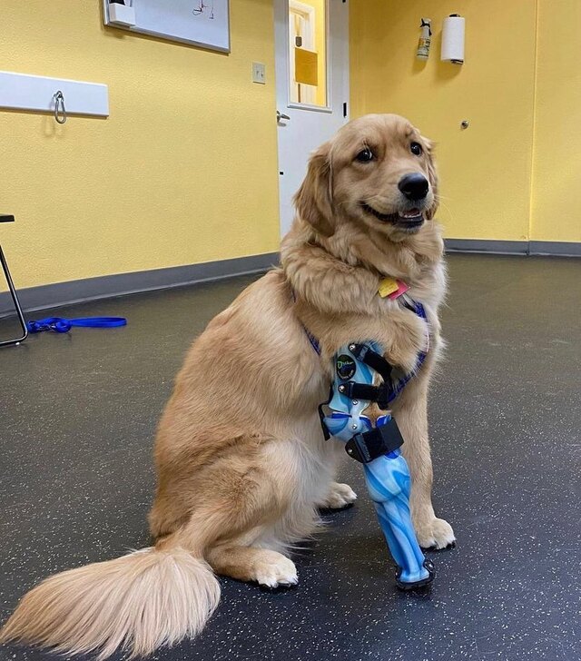 Nachschlag - Bildschirmarbeiter - Picdump KW 17/2022