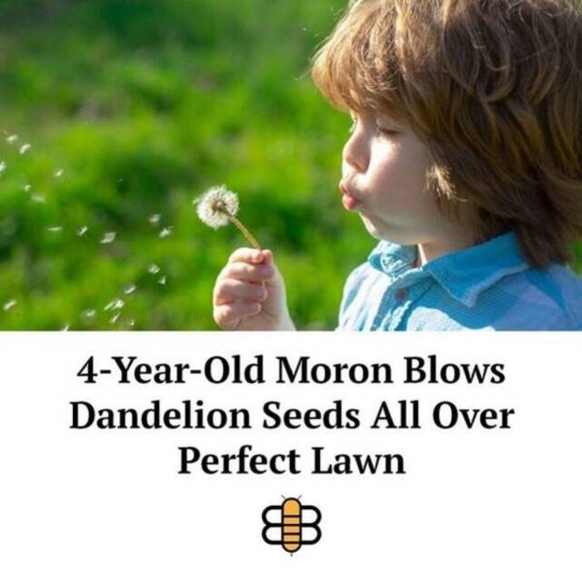 Nachschlag - Bildschirmarbeiter - Picdump KW 17/2022