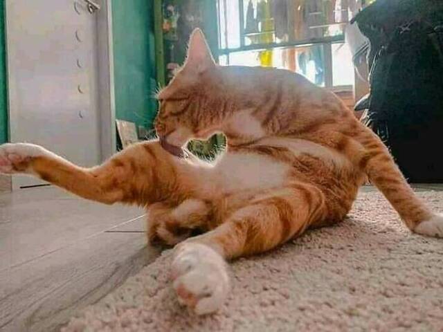 Nachschlag - Bildschirmarbeiter - Picdump KW 17/2022