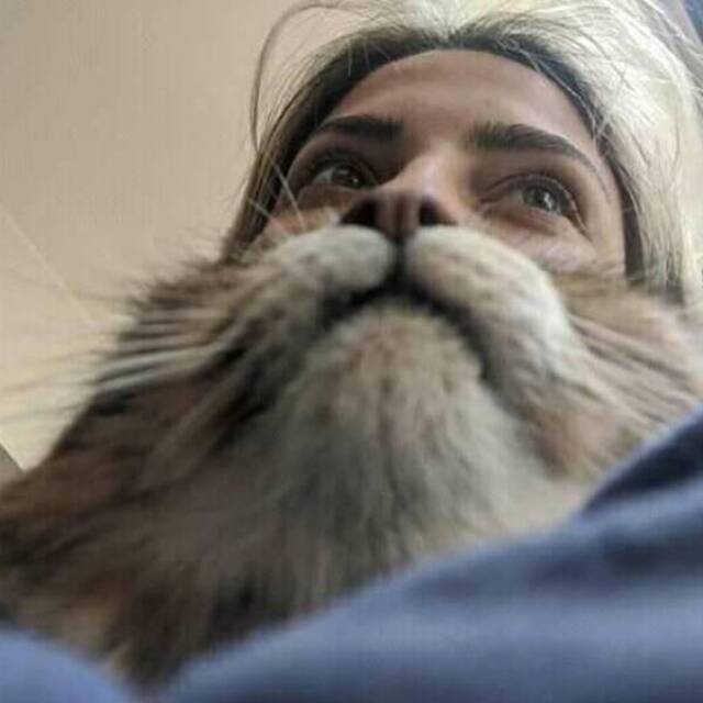 Nachschlag - Bildschirmarbeiter - Picdump KW 17/2022