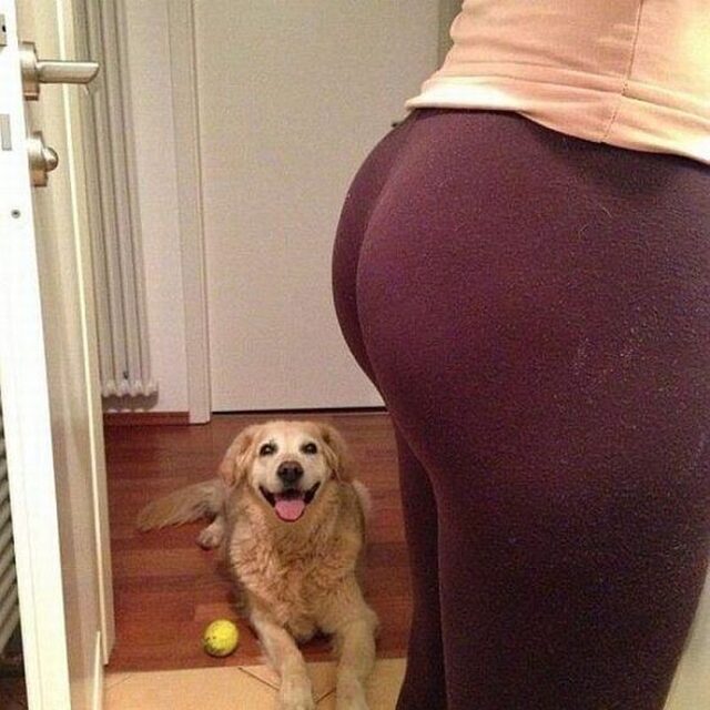 Bildschirmarbeiter - Picdump KW 17/2026