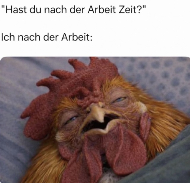 Bildschirmarbeiter - Picdump KW 17/2026