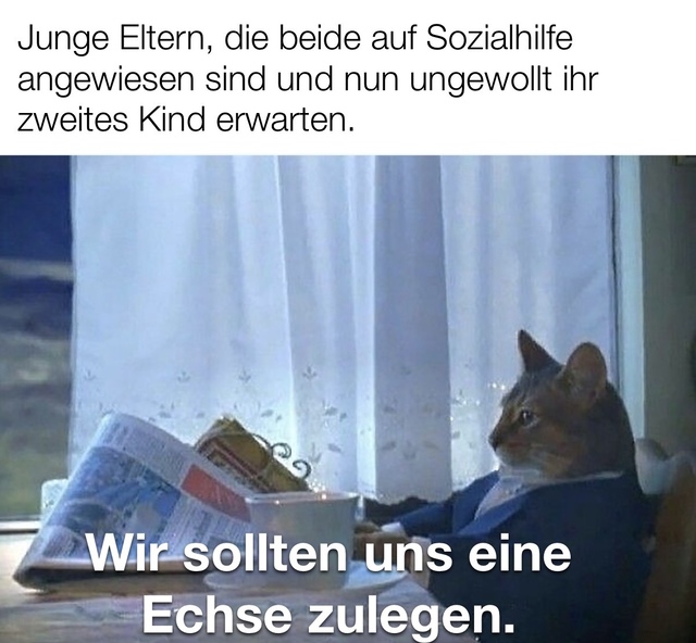 Bildschirmarbeiter - Picdump KW 17/2026