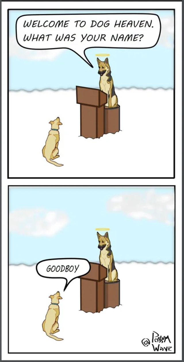 Bildschirmarbeiter - Picdump KW 18/2022