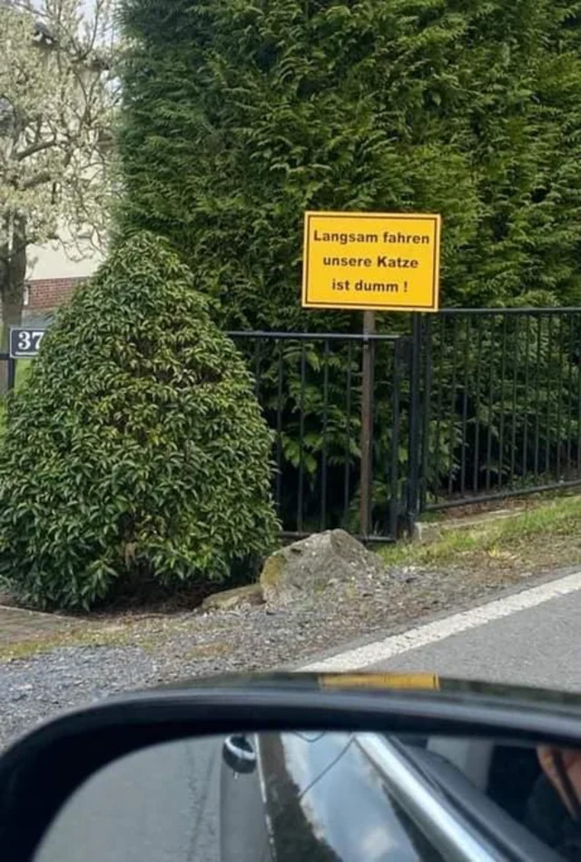 Bildschirmarbeiter - Picdump KW 18/2022