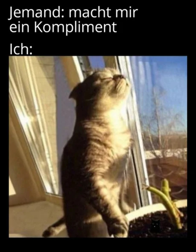 Bildschirmarbeiter - Picdump KW 18/2022