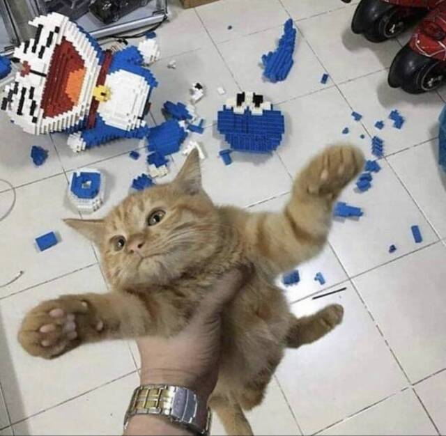 Bildschirmarbeiter - Picdump KW 18/2022