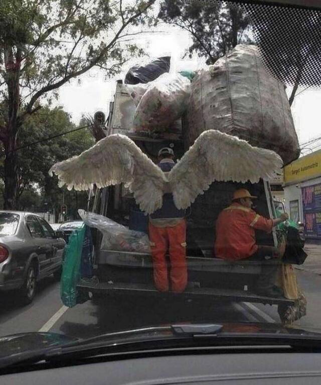 Bildschirmarbeiter - Picdump KW 18/2022