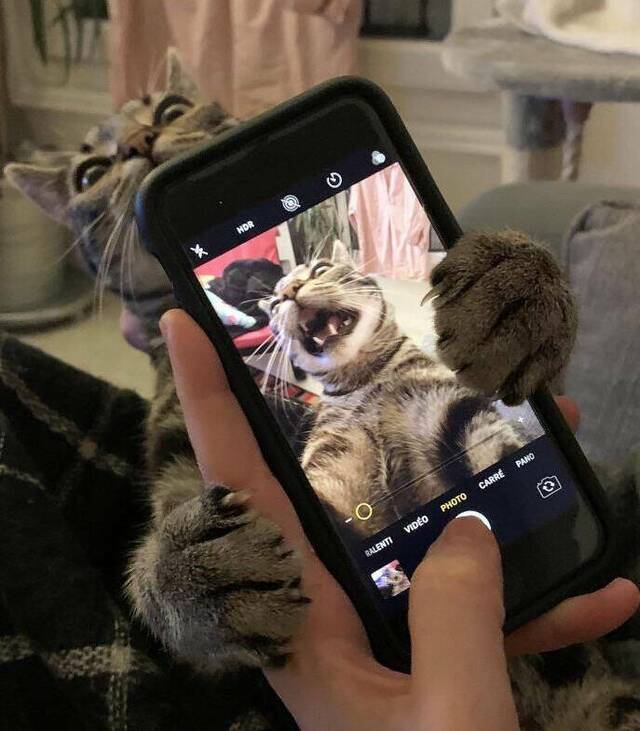 Bildschirmarbeiter - Picdump KW 18/2022