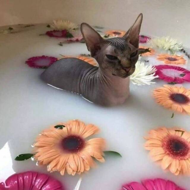 Bildschirmarbeiter - Picdump KW 18/2022