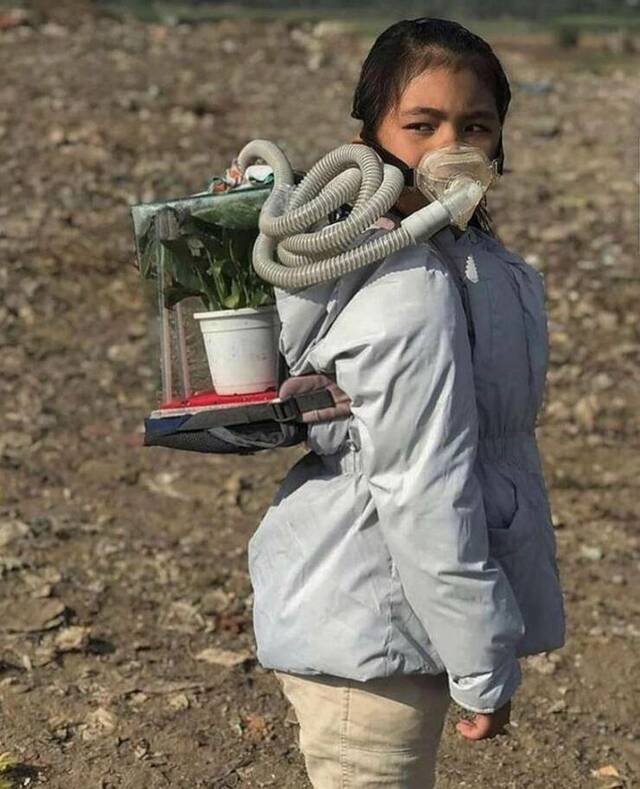 Bildschirmarbeiter - Picdump KW 18/2022