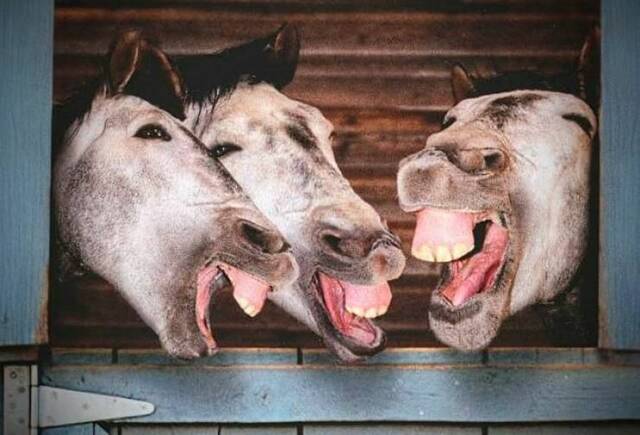 Bildschirmarbeiter - Picdump KW 18/2022