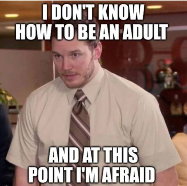 Bildschirmarbeiter - Picdump KW 18/2022