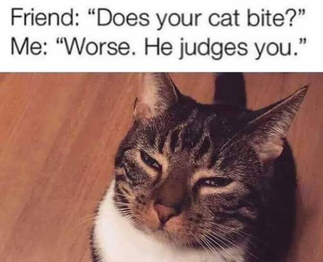 Bildschirmarbeiter - Picdump KW 18/2022